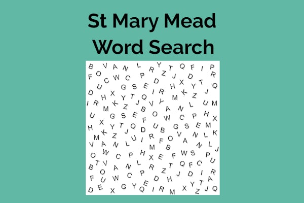 St Mary Mead: A Word Search