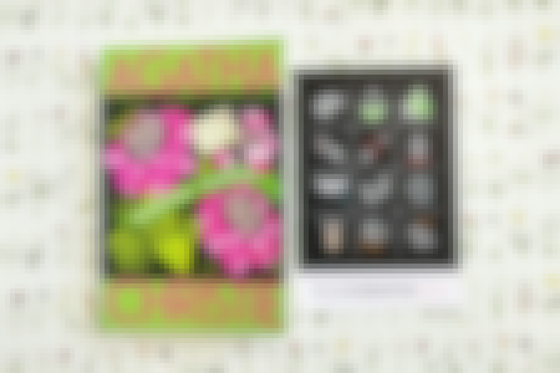 Outset Sleeping Murder