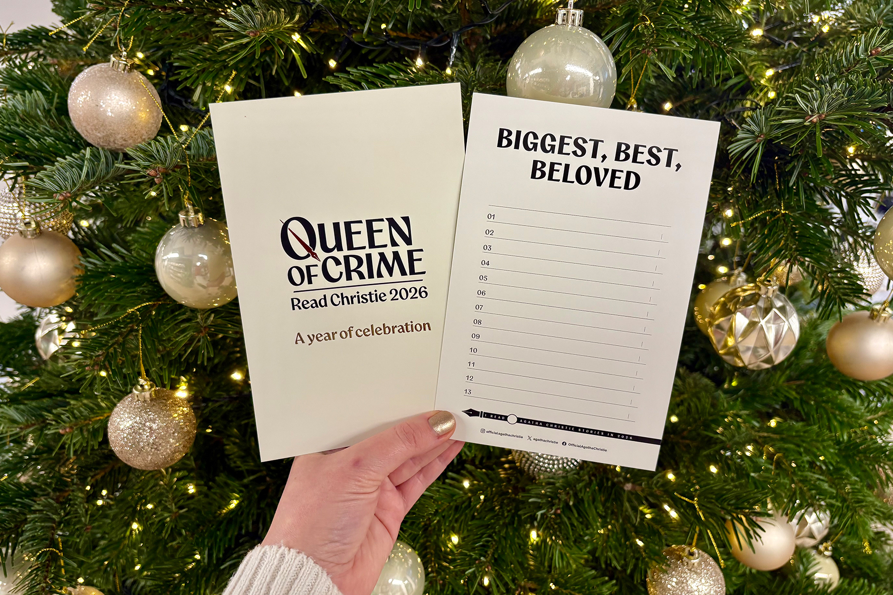 Inline Thumbnail RC2026